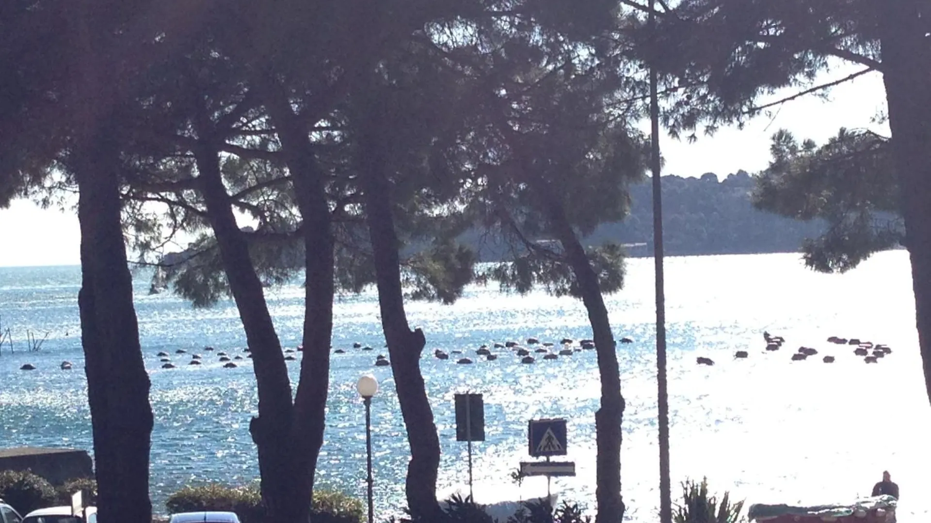 Granseola Apartment Portovenere Italy